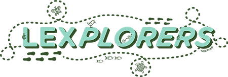 LexPlorer logo