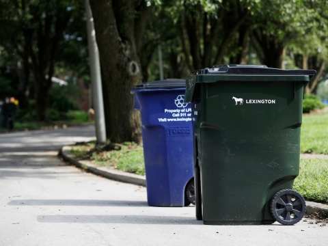 a green trash cart and a blue recycle cart on the curb in front of green grass